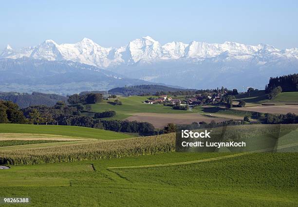 Green Felder Mit Eiger Mönch Und Jungfrau Im Bamboo Stockfoto und mehr Bilder von Alpen