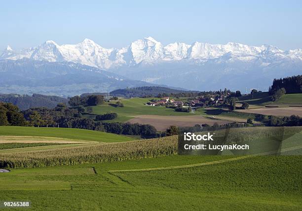 Grüne Felder Mit Góra Eiger Mönch Und Góra Jungfrau Im Hintergrund - zdjęcia stockowe i więcej obrazów Alpy