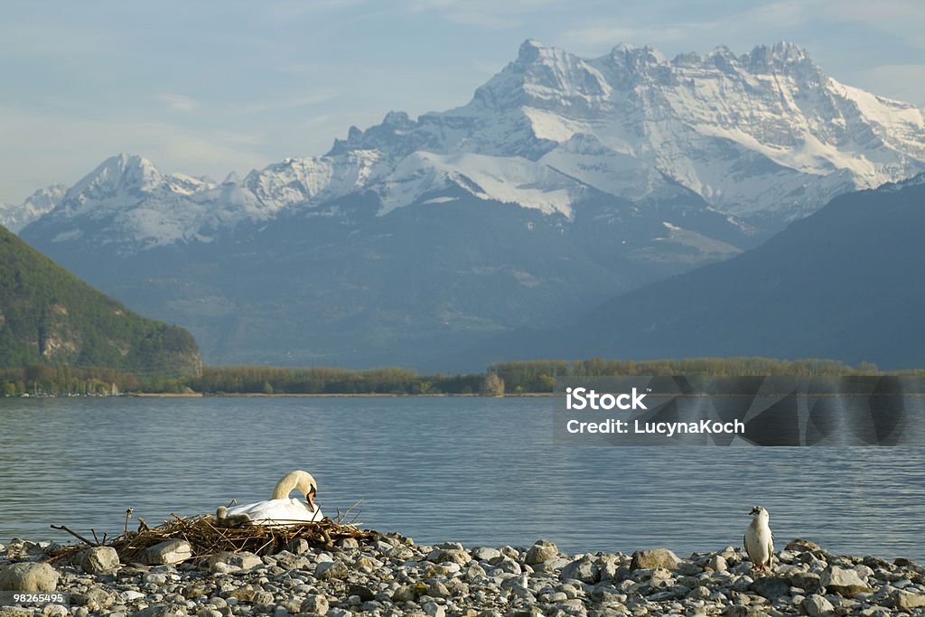Mutterglueck - Lizenzfrei Alpen Stock-Foto
