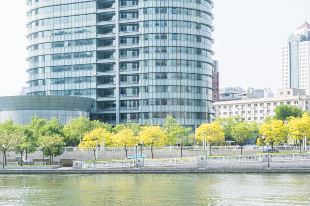 istock Part of the City Skyscraper 982665722