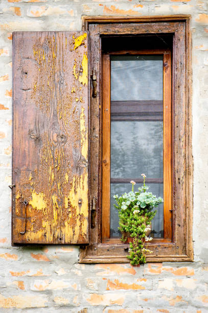 Old wooden window and decorative flowers stock photo