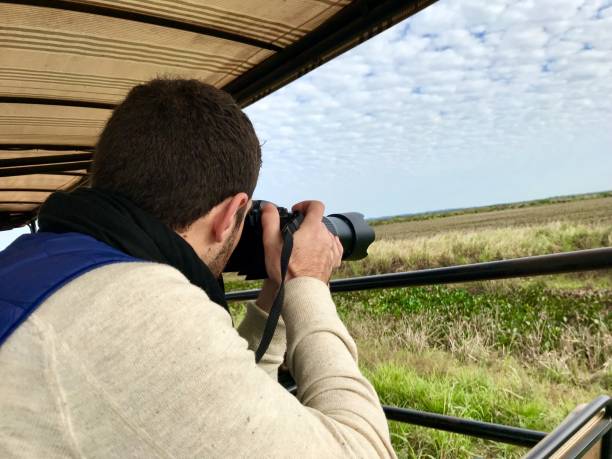 istock Photographer exploring the brazilian wetland 982666962