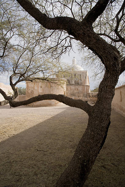 tumacacori ミッション、アリゾナ垂直 - tumacacori national historical park ストックフォトと画像