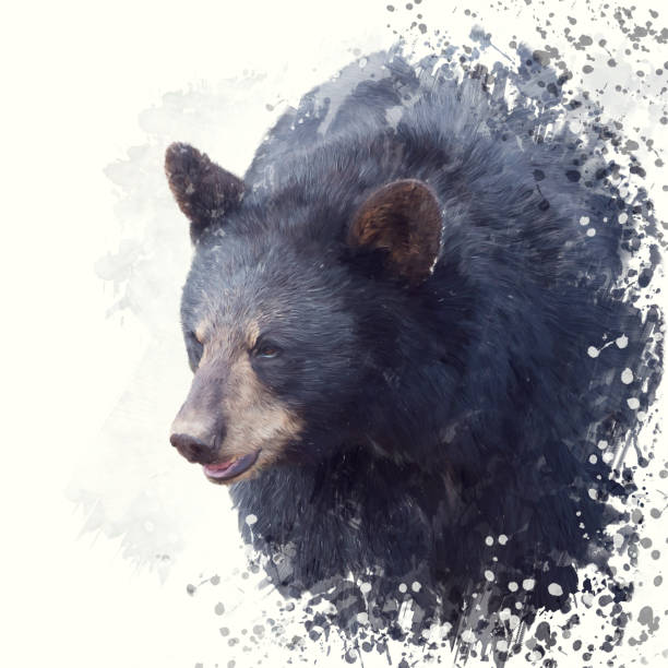 istock Black Bear portrait watercolor painting 982712656