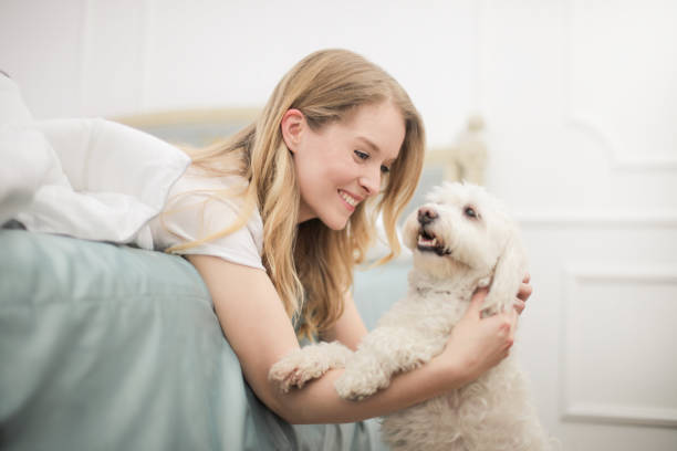 istock Girl playing with her dog 982717352