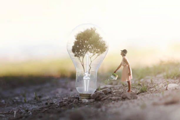 immagine surreale di una donna annaffiare la sua pianta che ha bisogno di energia per una lampadina - light lighting equipment new life beginnings foto e immagini stock