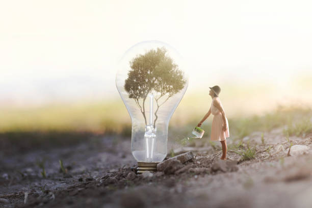 surreal image of a woman watering her plant that needs energy to a light bulb surreal image of a woman watering her plant that needs energy to a light bulb technology creation stock pictures, royalty-free photos & images