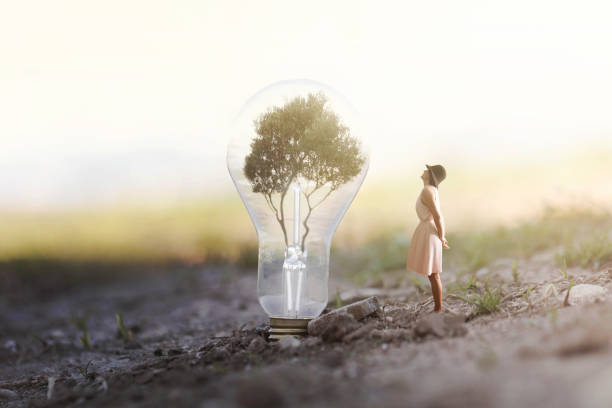 surreal image of a woman who observes intrigued a giant bulb containing a tree for renewable energy stock photo