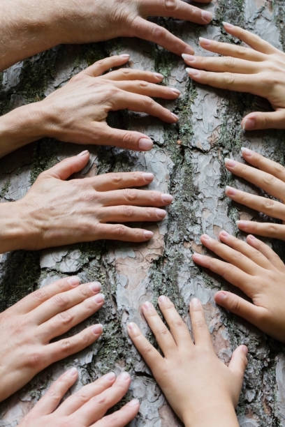 istock many hands on the background of an old tree, the connection between man and nature. 982732306