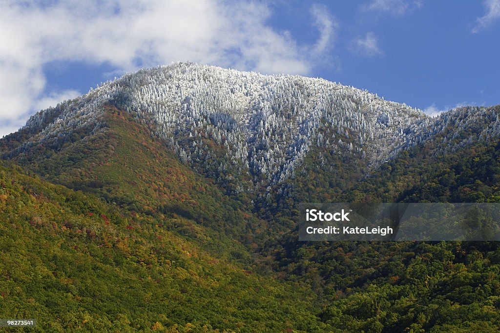 Outono montanha de Neve - Royalty-free Amarelo Foto de stock
