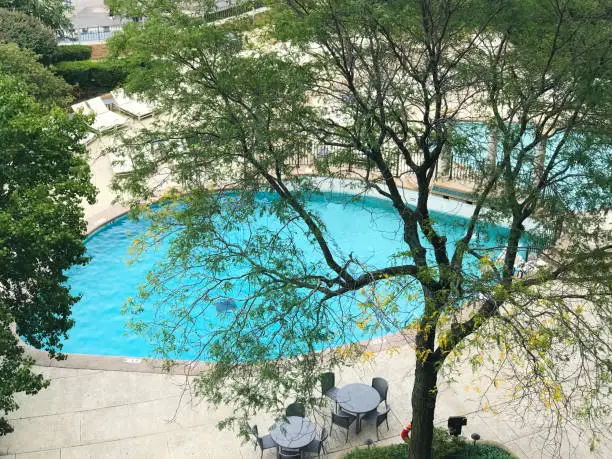 summer pool behind trees