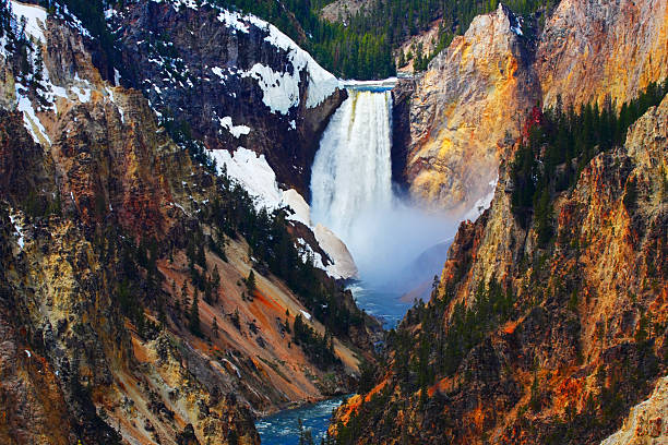 cataratas de lower yellowstone - lower falls imagens e fotografias de stock