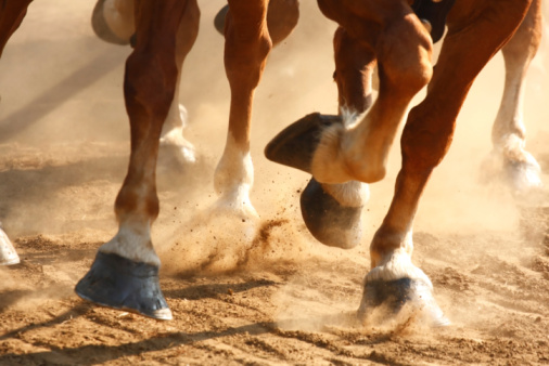 Galloping caballos Hooves photo