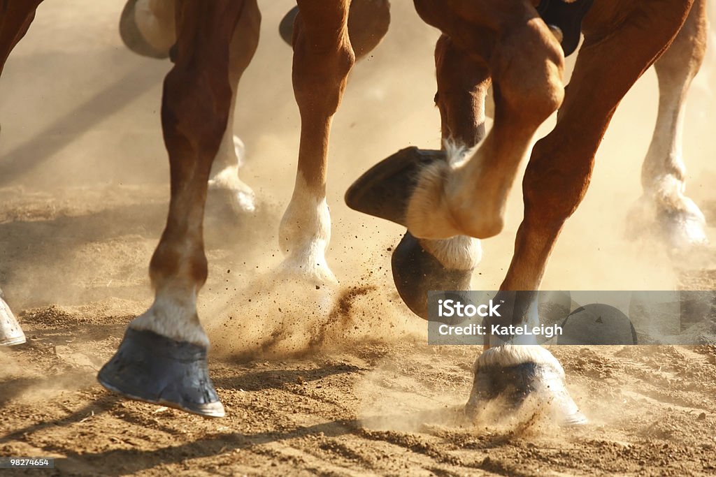 Galloping Horses Hooves  Horse Stock Photo
