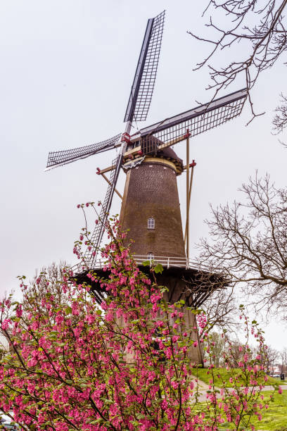 istock Windmill Buren. Gelderland, Netherlands 982750964