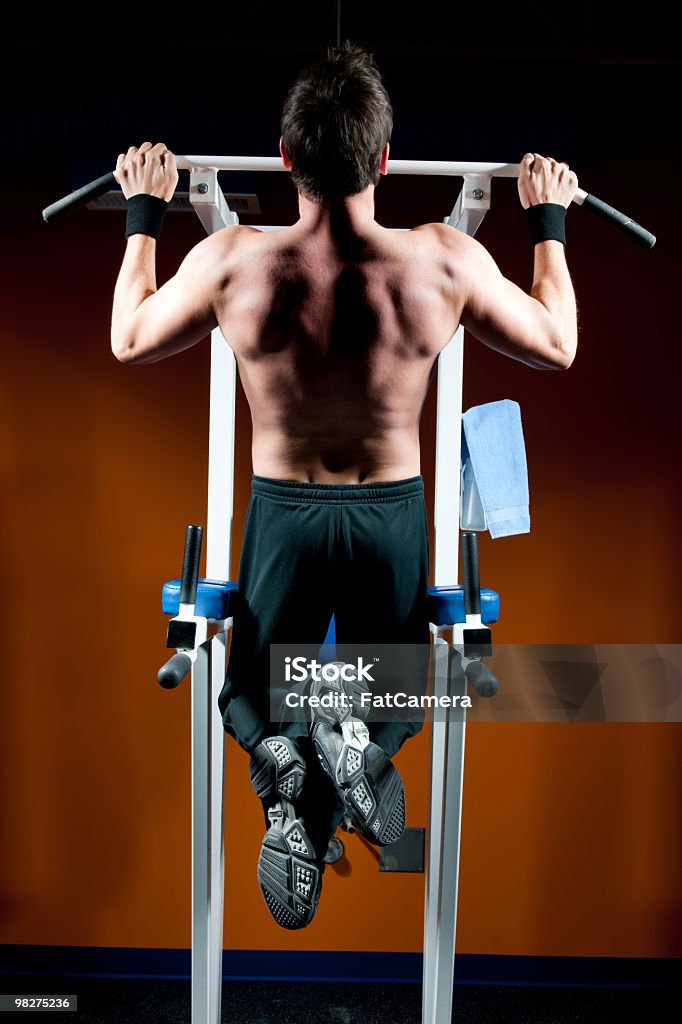 Gym workout Weight lifting at the gym  -   Adult Stock Photo