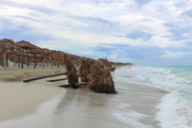 istock Fallen sunshades on the beach, Cuba, Varadero 982754650