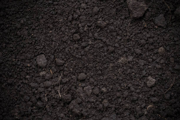 istock Background texture of the soil 982758604