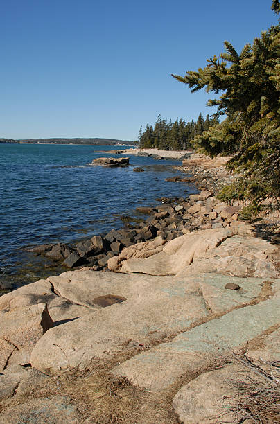 istock Landscape along western shore of Schoodic Point 98275895