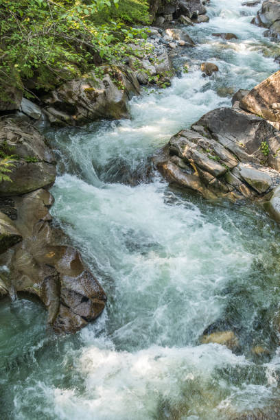 istock Rushing Water On Denny Creek 6 982760528
