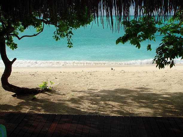 istock View from bungalow to sea 98276250