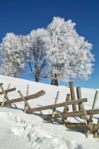 High angle view of snow covered wooden build structure in park