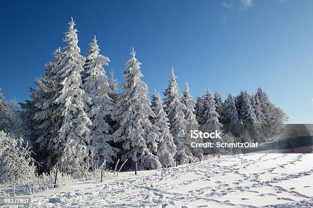 Schneebedeckte Bäume Im Schauinsland Stockfoto und mehr Bilder von Baum - Baum, Eis, Farbbild