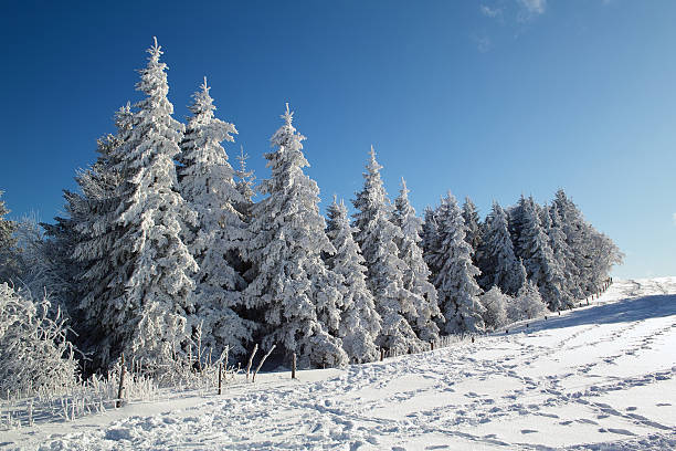 The new deep snow on the wall in the mountains, a walk in the sun and snow.