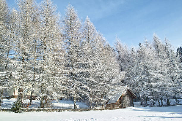 paesaggio di neve con piccola casa - schneelandschaft foto e immagini stock
