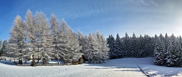 paesaggio di neve con piccolo cottage e sole - schneelandschaft foto e immagini stock