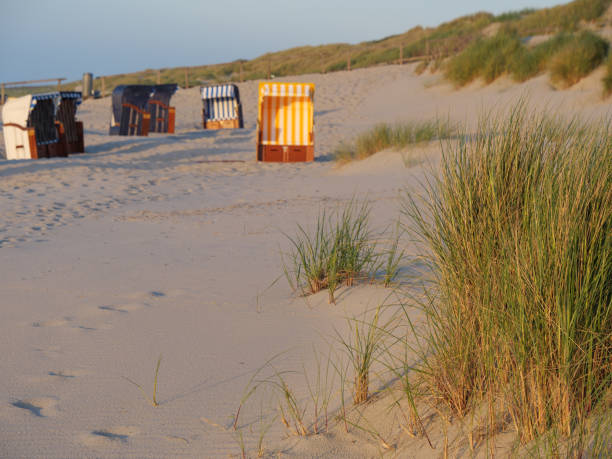 istock Beach on the german north sea 982787706