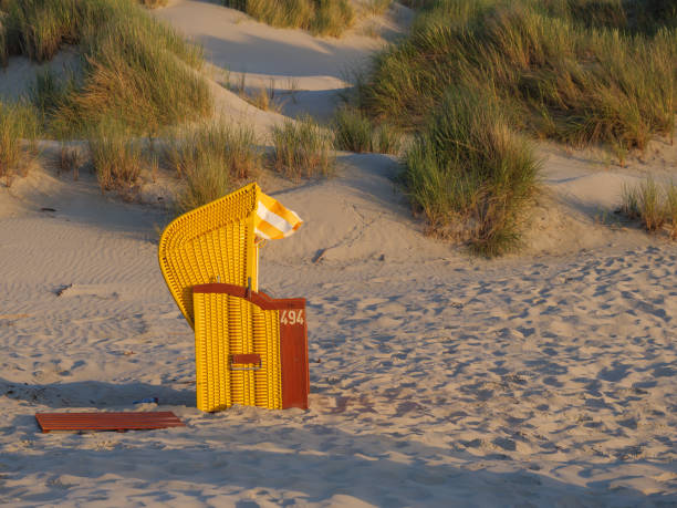 istock Beach on the german north sea 982788274