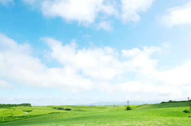 paysage d'un champ vert - paddock photos et images de collection