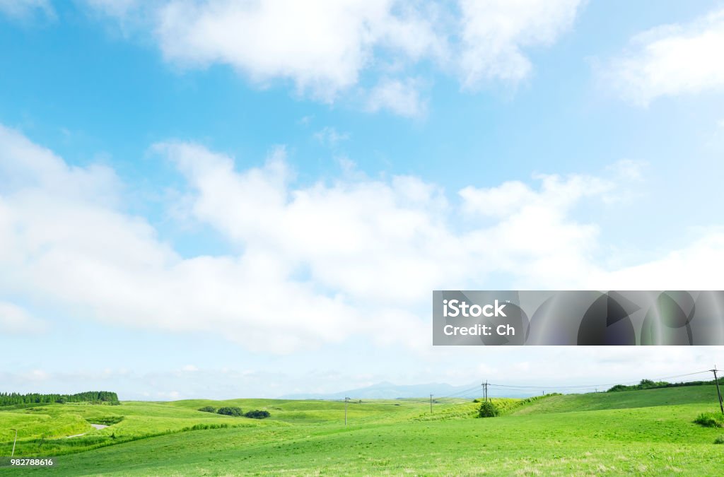 landscape of green field Sky Stock Photo