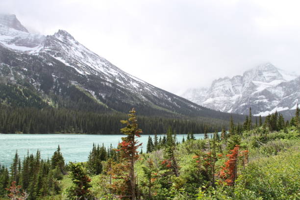 Inside Glacier National Park, Montana, USA