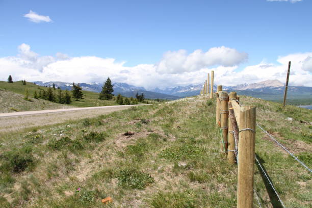 istock Waterton Lakes, Alberta, Canada 982796518