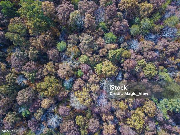 Blue Ridge Parkway Autumn Season 1721 Stock Photo - Download Image Now - 4K Resolution, Aerial View, Autumn