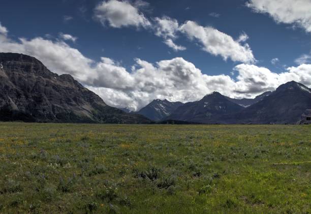 istock Waterton Lakes, Alberta, Canada 982799484