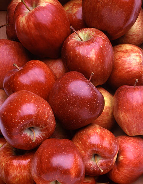 manzanas rojas - red delicious apple apple fruit vertical fotografías e imágenes de stock