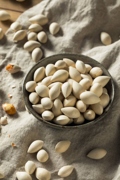 istock Raw Dried Organic Ginkgo Nuts 982819106
