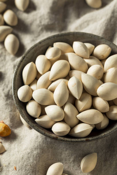 istock Raw Dried Organic Ginkgo Nuts 982822872