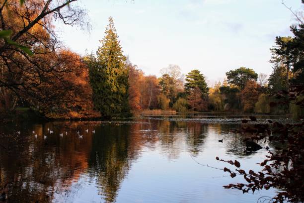 istock Autumnal lake scene. 982838092