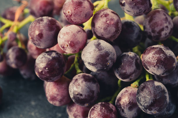 istock sweet black grapes and water droplets 982848756