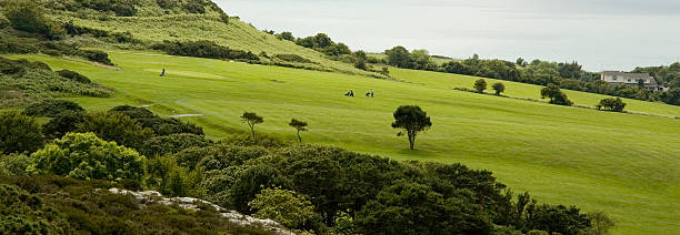 A view of the sugarloaf mountain from the Powerscourt Gardens in Co. Wicklow, Ireland