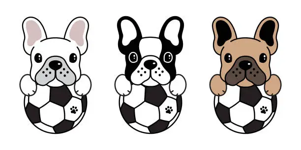 Vector illustration of french bulldog vector dog football soccer fifa icon logo illustration symbol cartoon