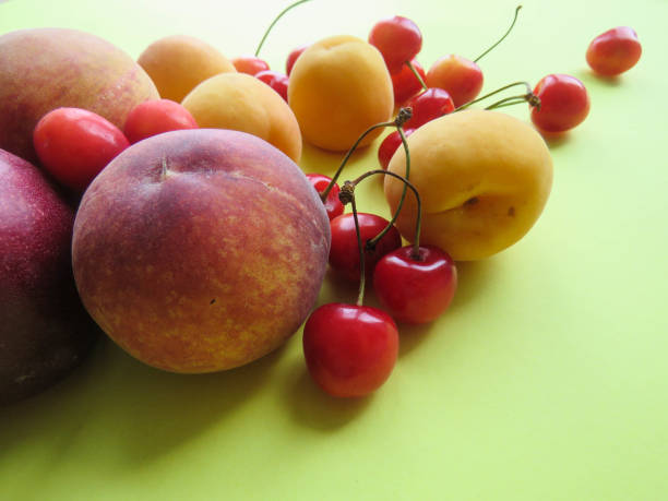istock peaches, apricots and cherries 982857928
