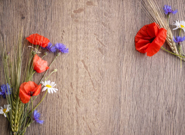 istock rural corn field background with flowers 982860706