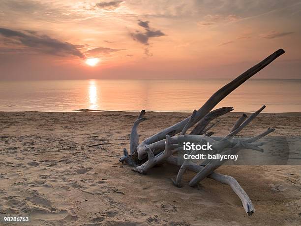 Driftwood Al Atardecer Foto de stock y más banco de imágenes de Arena - Arena, Madera a la deriva, Agua