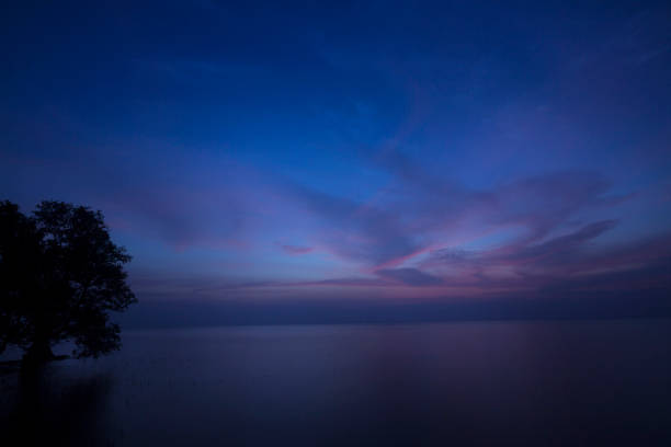 vista esplosa del calar della notte blu del crepuscolo - cambogia, asia - mystics foto e immagini stock