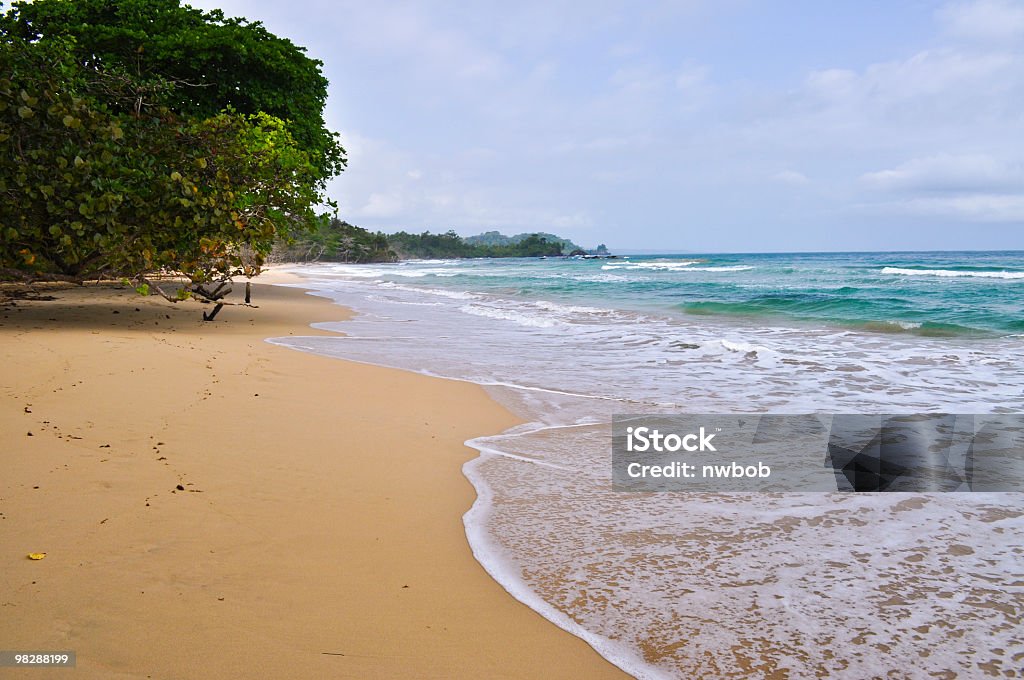 Beautiful Tropical Caribbean Beach  Beach Stock Photo